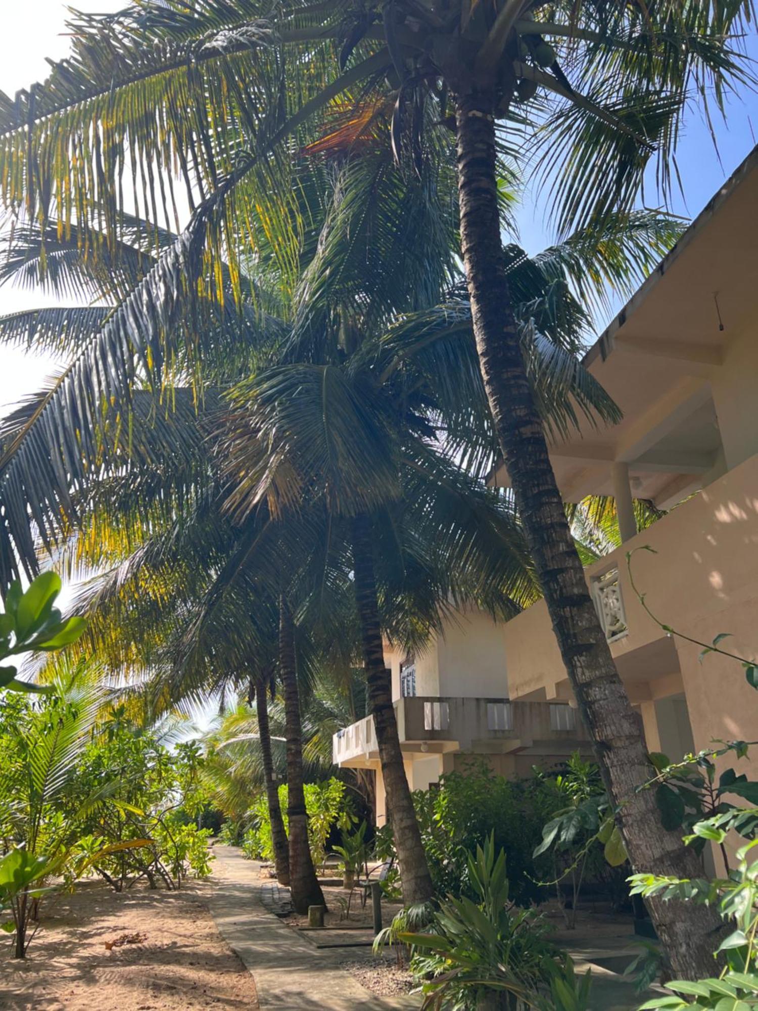 Villasiri And Leon Beach Paradise Tangalle Exterior photo