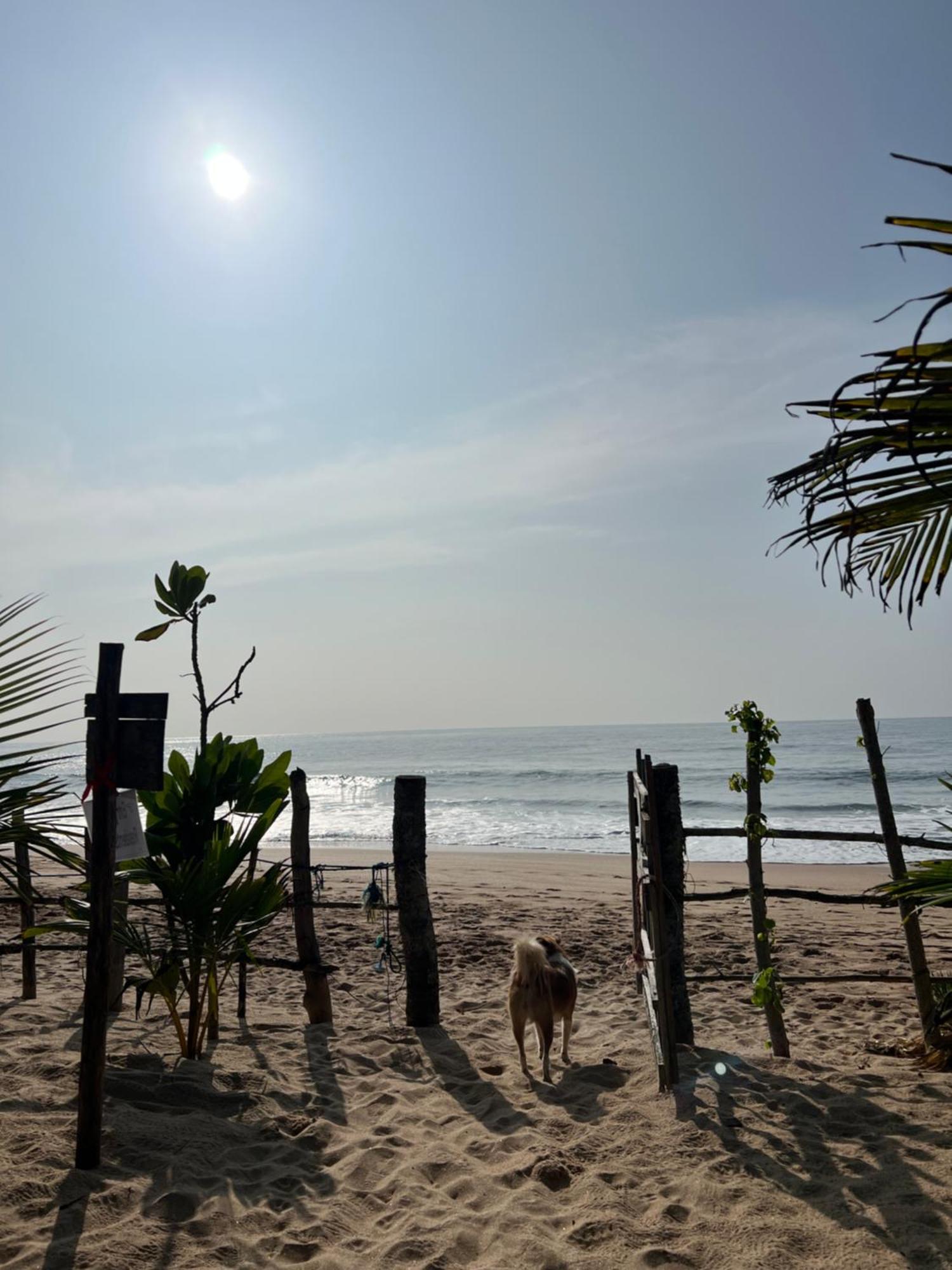 Villasiri And Leon Beach Paradise Tangalle Exterior photo