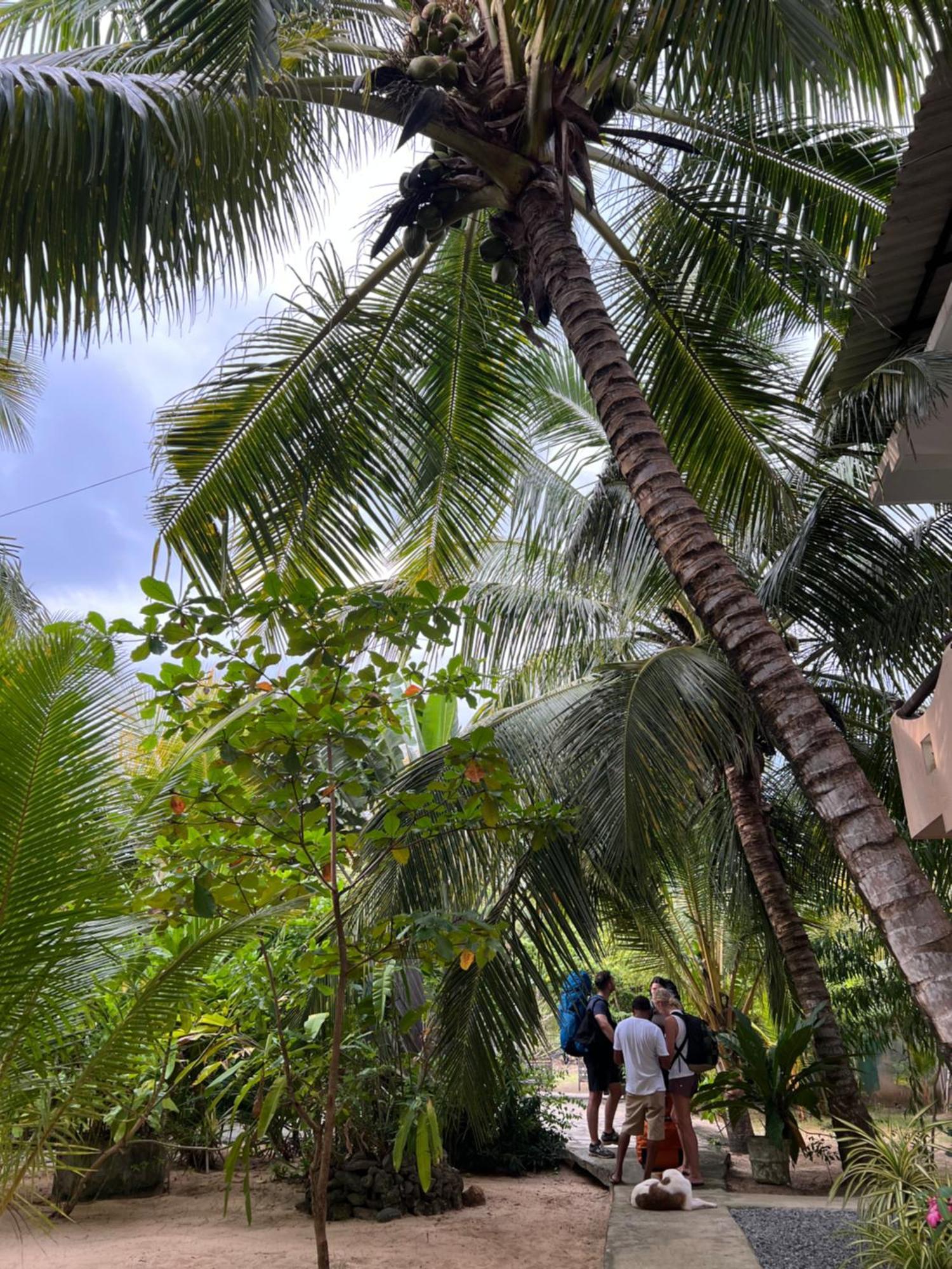Villasiri And Leon Beach Paradise Tangalle Exterior photo