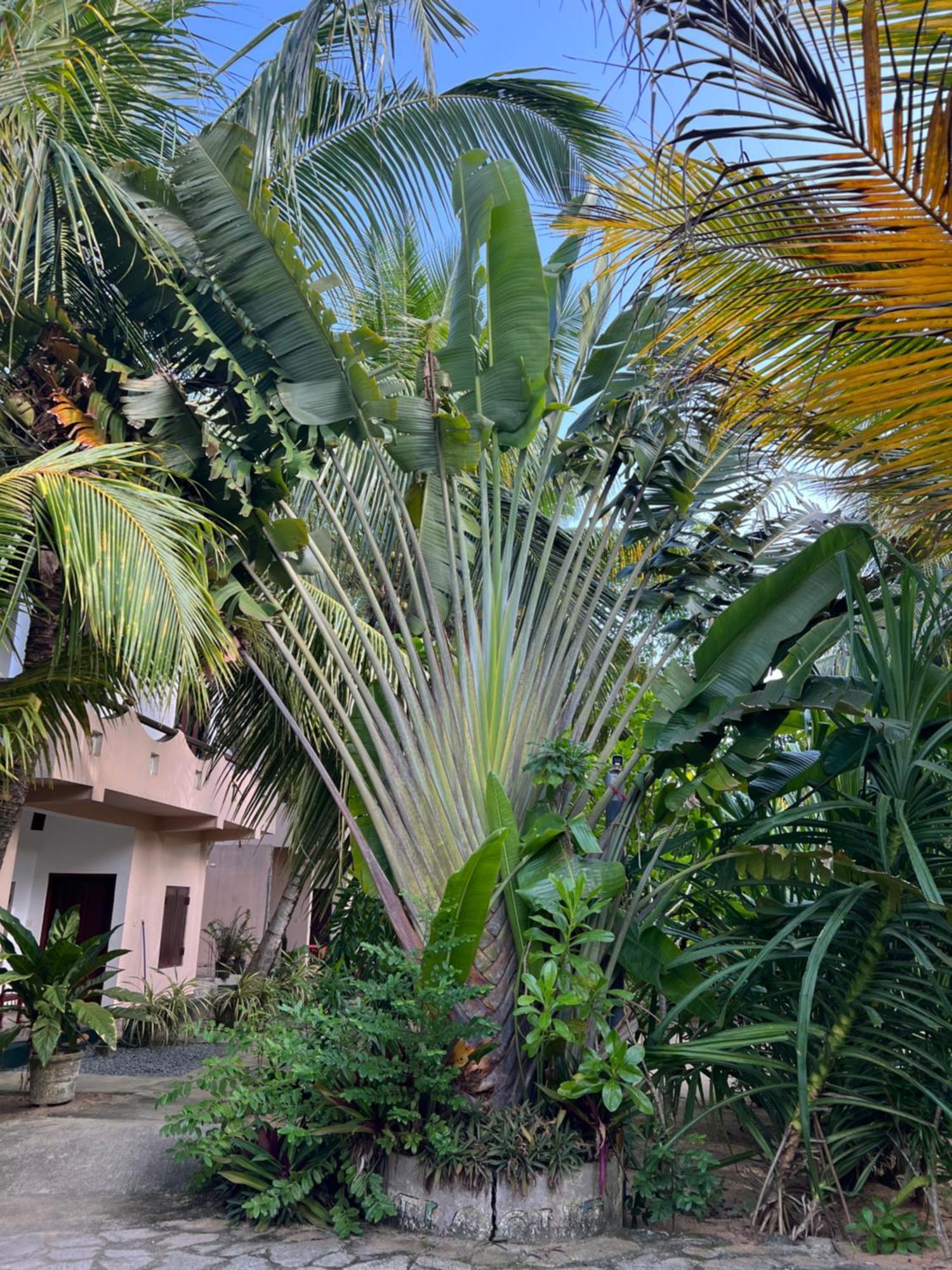 Villasiri And Leon Beach Paradise Tangalle Exterior photo